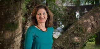 Polinizadores e produtividade das macieiras