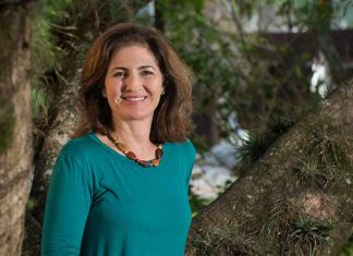 Polinizadores e produtividade das macieiras