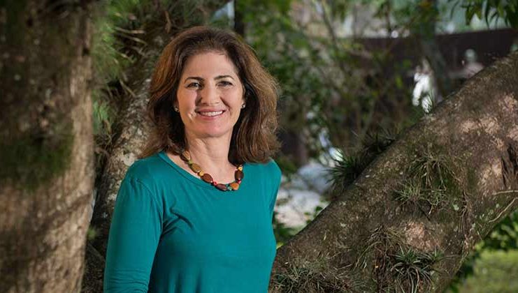 Polinizadores e produtividade das macieiras