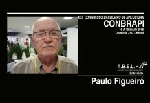 Conbrapi 2018 – Paulo Figueiró