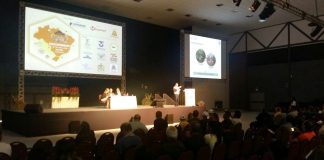 Conbrapi 2018 – A.B.E.L.H.A. participa do maior evento melífero do Brasil Conbrapi 2018