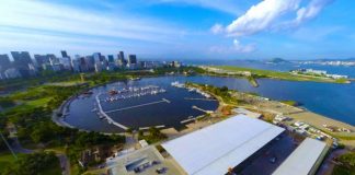 Green Rio 2018 – Brasil e Alemanha debatem abelhas e polinização