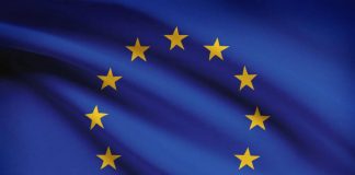 União Europeia lança iniciativa para combater o declínio de polinizadores silvestres