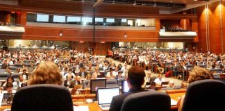 Reunião prepara a 14ª Convenção de Biodiversidade da ONU