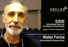 IUSSI 2018 – Walter Farina