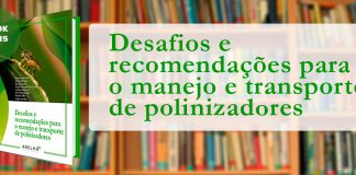 Lançamento E-book – Desafios e recomendações para o manejo e o transporte de polinizadores