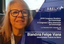 Blandina Felipe Viana