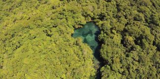 Biodiversidade é estratégica para o Brasil