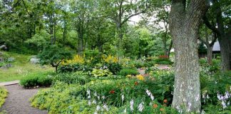 Cidades são chave para conservação de polinizadores