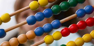 Abelhas são capazes de fazer contas de adição e subtração