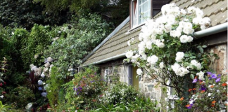 #1 – Polinizadores nas cidades