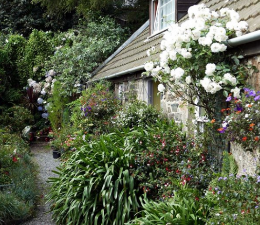 #1 – Polinizadores nas cidades