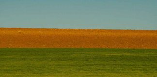 FAO alerta que desaparecimento da biodiversidade ameaça agricultura