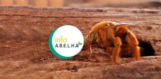 InfoA.B.E.L.H.A. – Plataforma de conhecimento técnico e científico