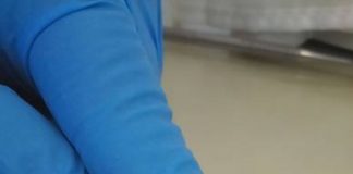 Série Chamada Pública CNPq – Osmar Malaspina e Roberta Nocelli