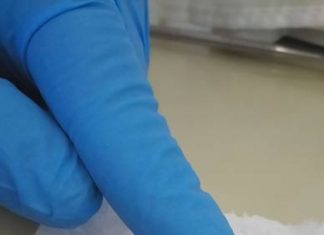 Série Chamada Pública CNPq – Osmar Malaspina e Roberta Nocelli