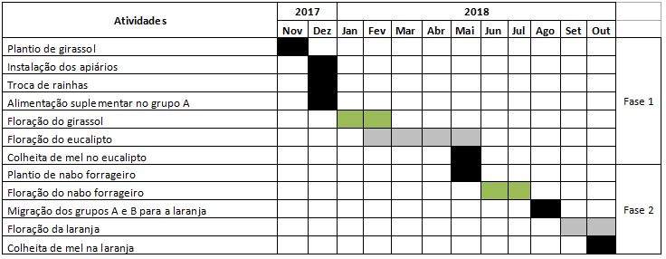 Apiário II cronograma