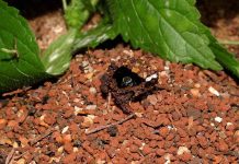 #8 – Casa própria ou aluguel?