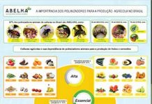 A importância dos polinizadores para produção agrícola no Brasil