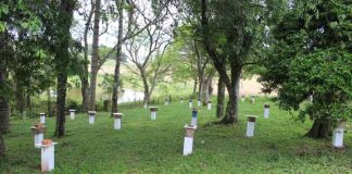 A.B.E.L.H.A. apoia Meliponário Escola no RS