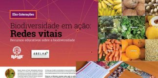 Dica para a quarentena – Redes vitais na cozinha de casa