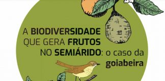 Livro ensina agricultores do semiárido a usar a biodiversidade a seu favor