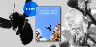 Guia de Polinização destaca papel das abelhas na agricultura