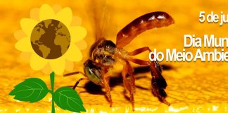 5 de junho – Dia Mundial do Meio Ambiente