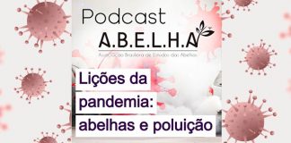 Podcast #3 – Lições da Pandemia: abelhas e poluição