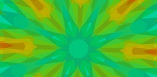 Participe da Live – Unindo esforços para conservação de polinizadores e agricultura sustentável