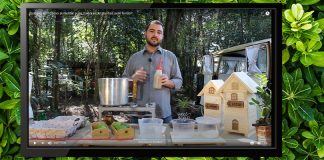 Como alimentar suas colônias de abelhas sem ferrão no inverno?