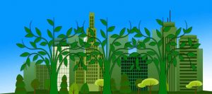 corredores ecologicos verde biodiversidade cidade