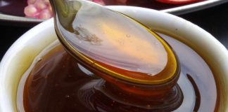 21 de junho – Dia do Mel: a rica diversidade do Brasil