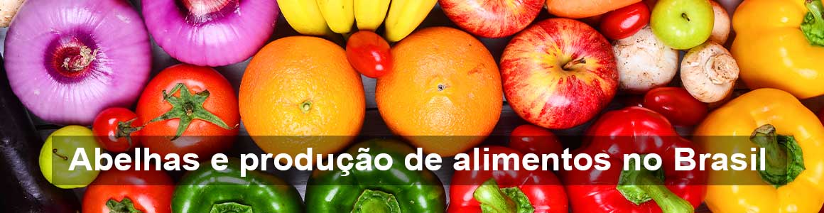 banner abelhas alimentos brasil