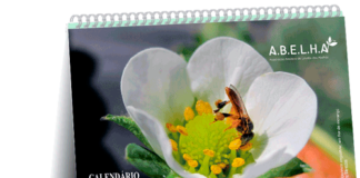 Calendário A.B.E.L.H.A. 2021 – Já baixou o seu? Calendário de mesa 2021 A.B.E.L.H.A.