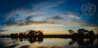 Como a ciência pode colocar os Objetivos de Desenvolvimento Sustentável de volta nos trilhos