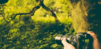 Vem aí – Concurso Fotográfico Abelhas sem Ferrão em Foco