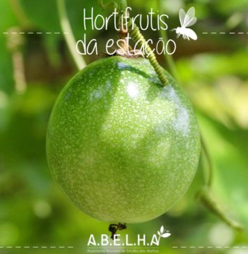 Maracujá amarelo Maracujá