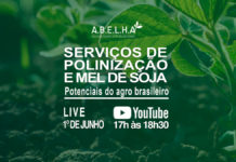 Webinar A.B.E.L.H.A. – Serviços de Polinização e Mel de Soja – Potenciais do Agro Brasileiro