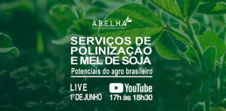 Webinar A.B.E.L.H.A. – Serviços de Polinização e Mel de Soja – Potenciais do Agro Brasileiro