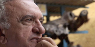 Homenagem a Paulo Menezes (1946-2021), um dos grandes promotores da meliponicultura brasileira