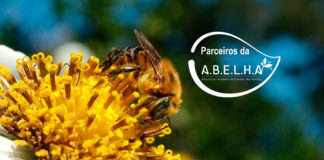 União pelos polinizadores