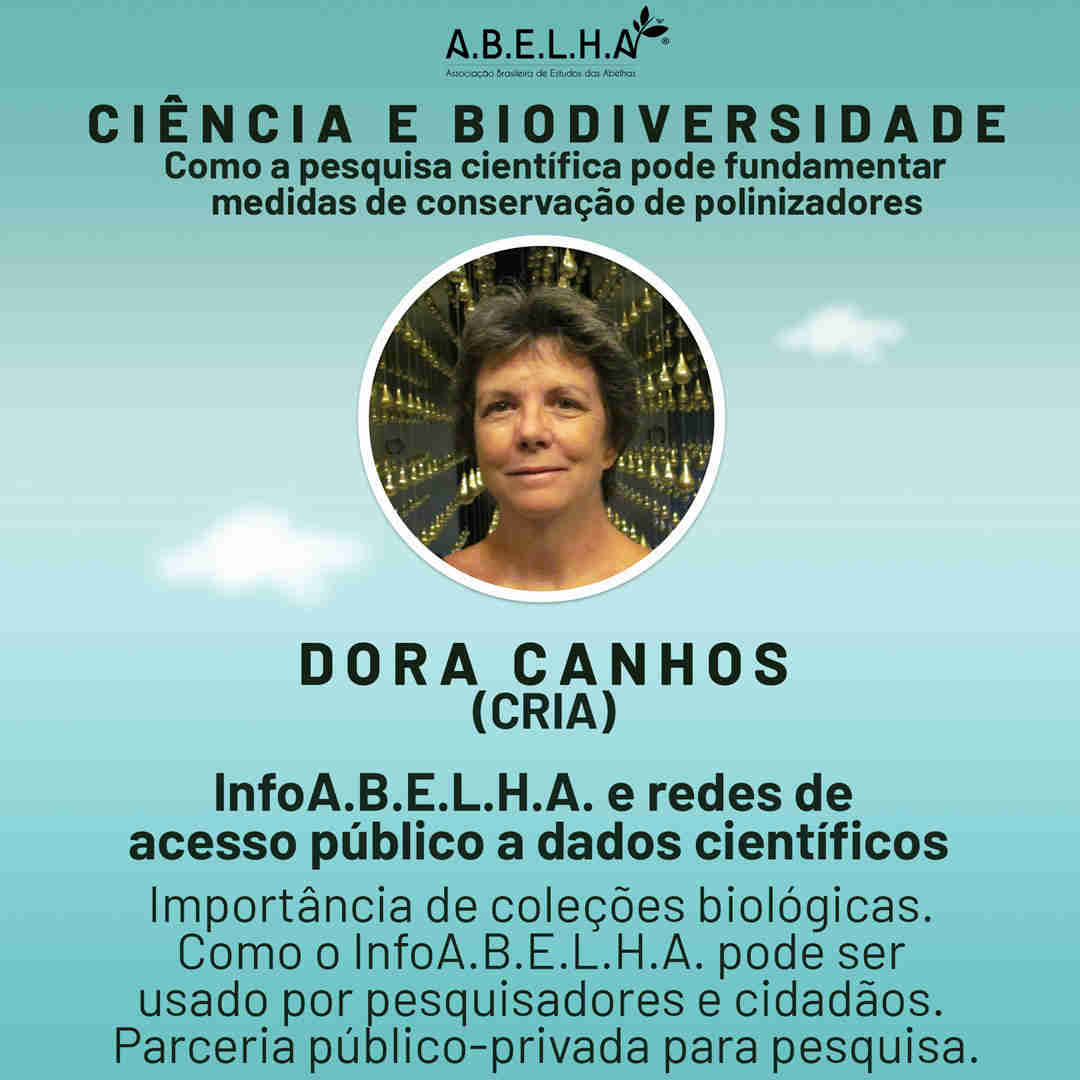 webinar dora canhos site