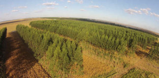 Monitoramento remoto irá mapear a intensificação sustentável da agricultura brasileira