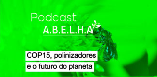 Podcast A.B.E.L.H.A. explica porque os polinizadores estão no centro da COP15