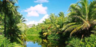 Empresariado brasileiro apresenta compromisso com a biodiversidade na COP 15