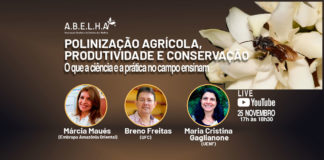 Confira o que rolou na nossa live com especialistas sobre polinização agrícola
