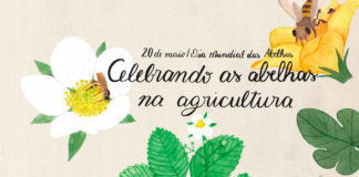 Medalha de prata para o pôster da A.B.E.L.H.A. na Apimondia 2022!