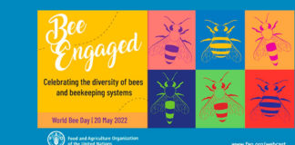 Bee Engaged – Evento virtual da FAO vai celebrar o Dia Mundial das Abelhas