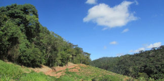 Conheça a programação do Fórum que discutirá contribuição dos serviços ambientais para a sustentabilidade no campo